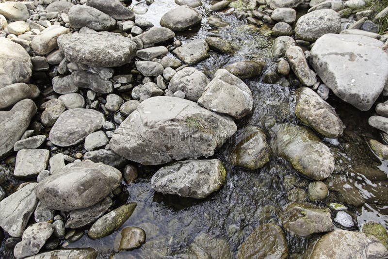 Wet stones in a river