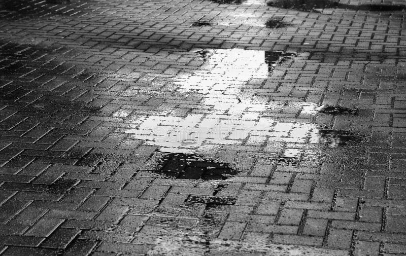 Water Rain Puddle On An Old Cobble Stone Street Stock Photo - Image of ...