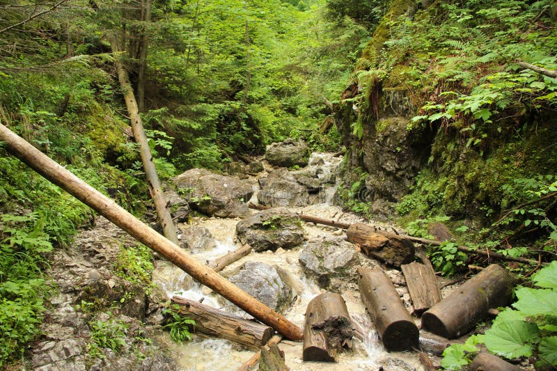 A wet trail running through streams in the Slovak Paradise National Park