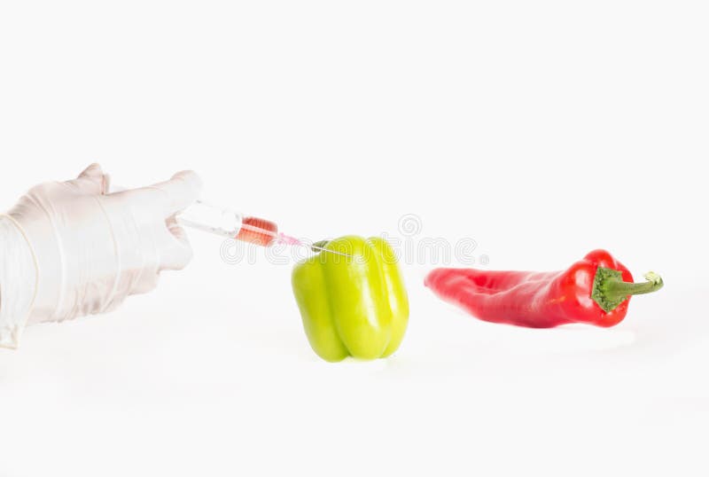 Wetenschapper die injectie toepassen op peper stock fotografie Wetenschapper die injectie toepassen op peper stock fotografie