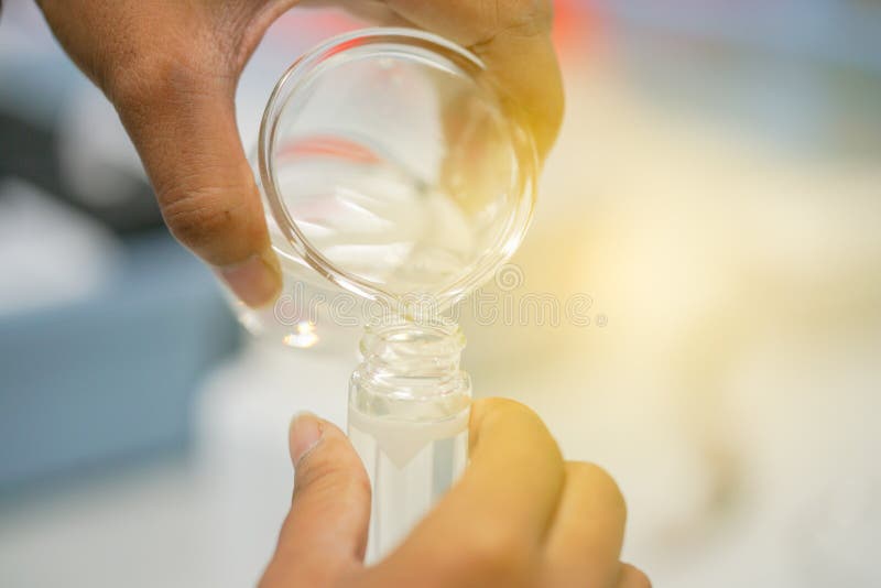 Wetenschapper gietende vloeistof van Erlenmeyer-fles aan meting t stock afbeeldingen Wetenschapper gietende vloeistof van Erlenmeyer-fles aan meting t stock afbeeldingen