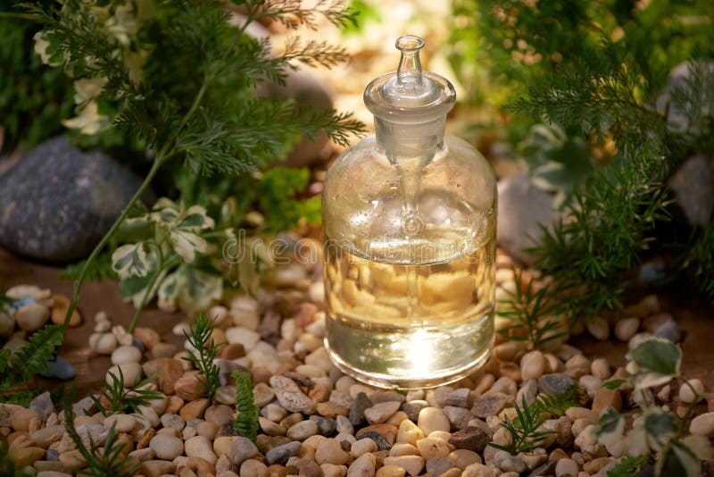 Wetenschapper met natuurlijk drugonderzoek, stock foto Wetenschapper met natuurlijk drugonderzoek, stock foto