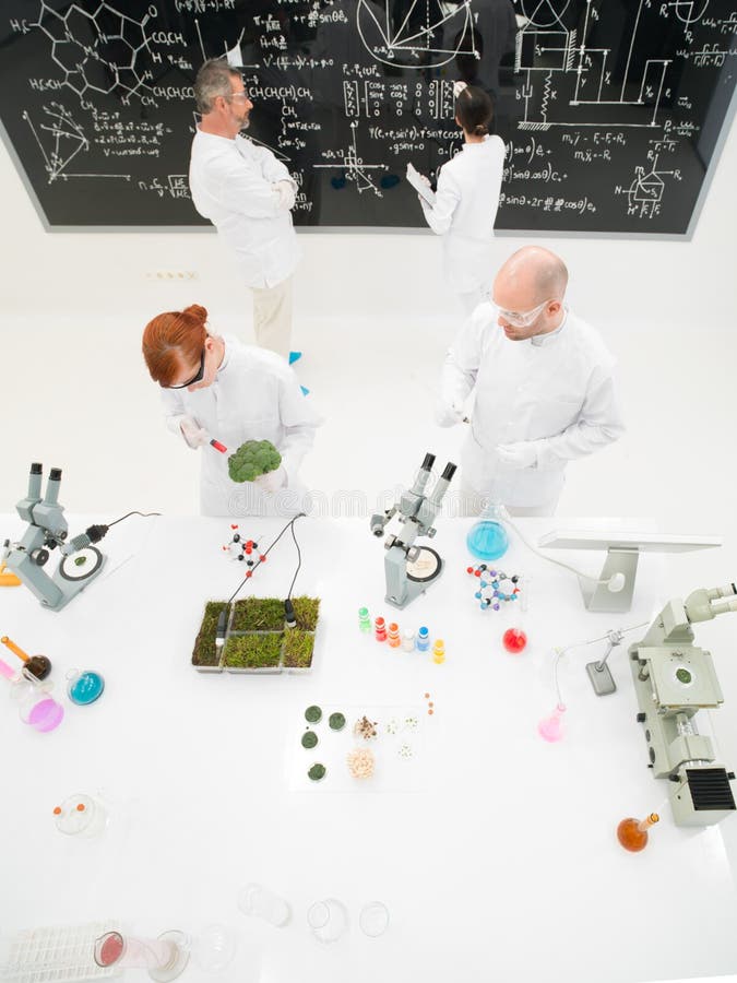 Wetenschappers die in een laboratorium werken royalty-vrije stock afbeelding Wetenschappers die in een laboratorium werken royalty-vrije stock afbeelding