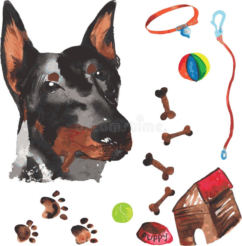Weterynaryjny zestaw zawierający doberman i akcesoriów dla psów, wat royalty ilustracja Weterynaryjny zestaw zawierający doberman i akcesoriów dla psów, wat royalty ilustracja