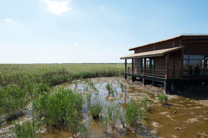 Wetland stock photo. Image of house, landscape, leisure 16479096