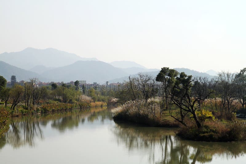 Wetland