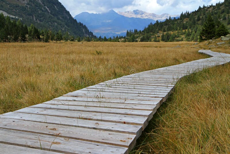 Wetland in the mountains