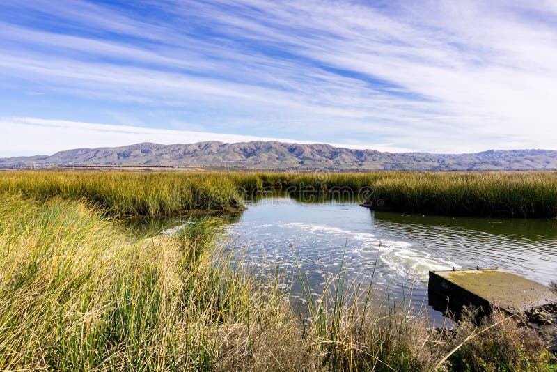 tidal-marsh-landscape-in-south-san-francisco-bay-area-mountain-view