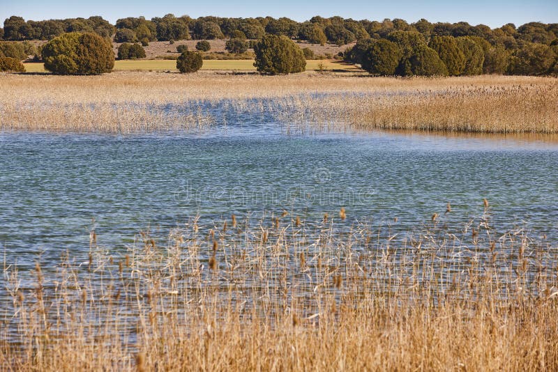 Wetlands in Spain. Lagunas del Ruidera. Albacete Ciudad Real