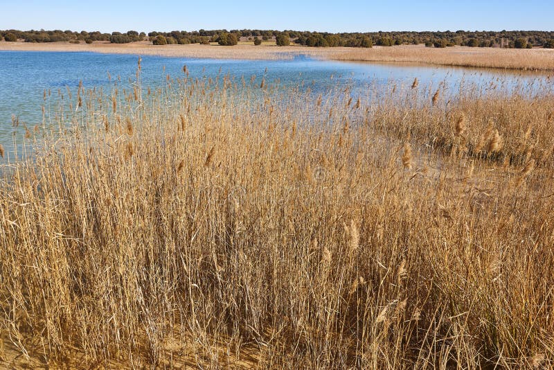 Wetlands in Spain. Lagunas del Ruidera. Albacete Ciudad Real