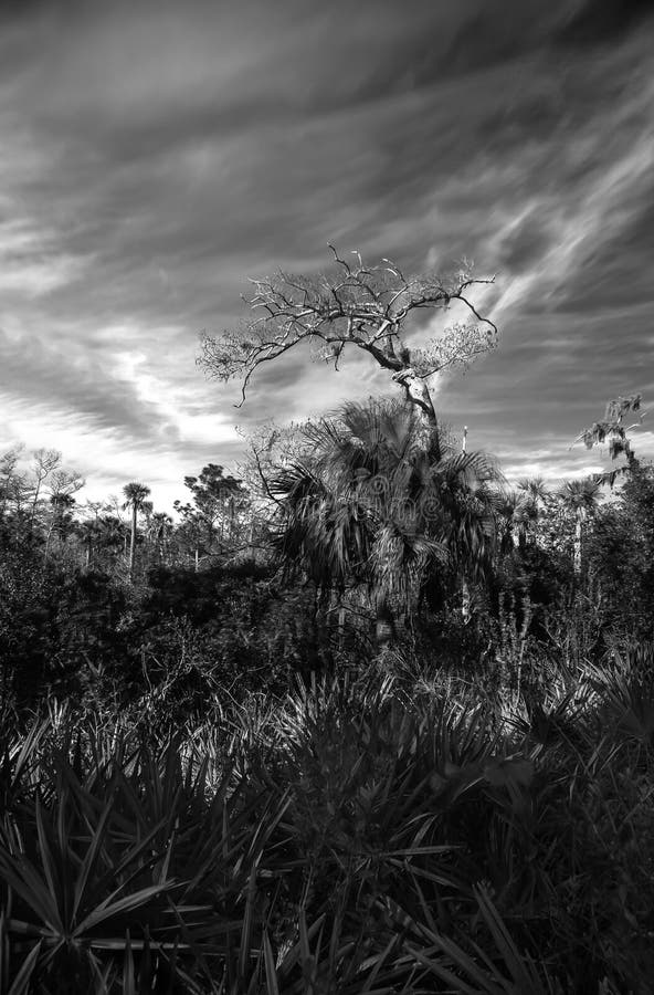 James Lipschutz Dynamail Photographer Profile