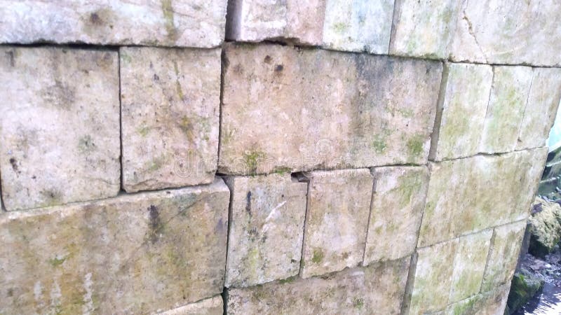 Wettermauer mit Moos und natürlichen Texturen stockbilder