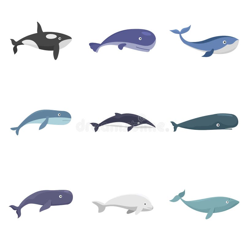 Whale Tale Diving Stock Illustrations – 75 Whale Tale Diving Stock ...