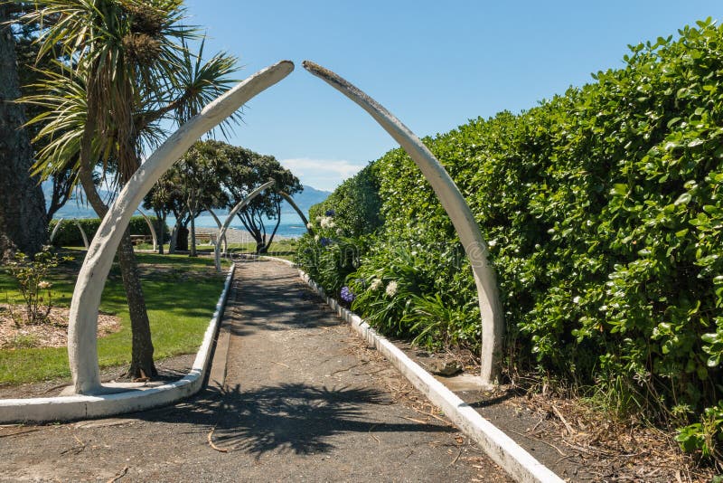 Whale bone arches in public park in Kaikoura, New Zealand stock image Whale bone arches in public park in Kaikoura, New Zealand stock image