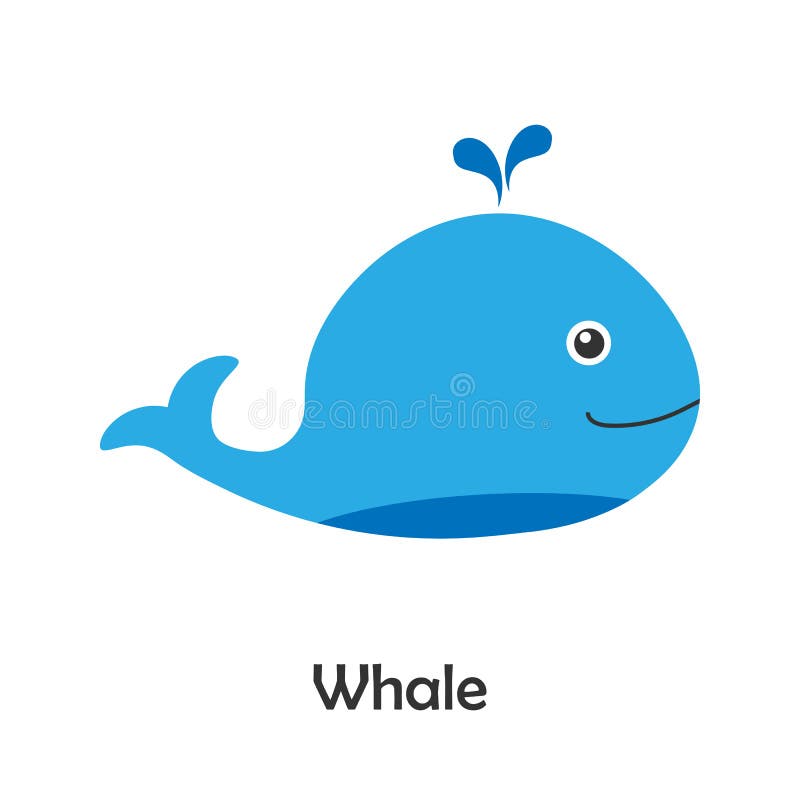 Whale picture for kids amine k moroko loko apollo