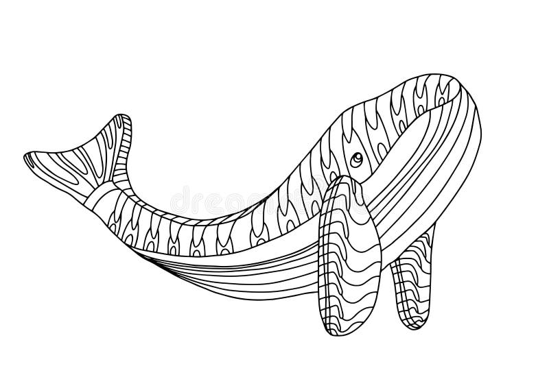 Whale Coloring page  Whale coloring pages, Whale tattoos, Whale drawing