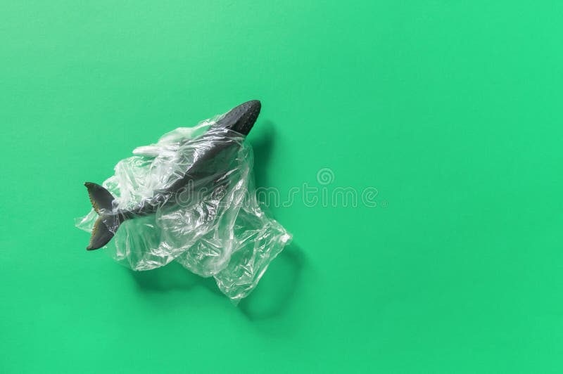 Whale in plastic. The figure of the fish is entangled in the package. Copy spase stock image