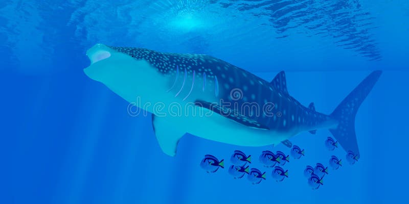 Whale Shark Feeding stock illustration. Illustration of feeder - 61036361