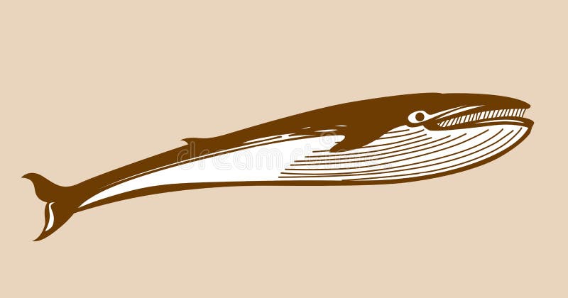 Whale silhouette vector illustration