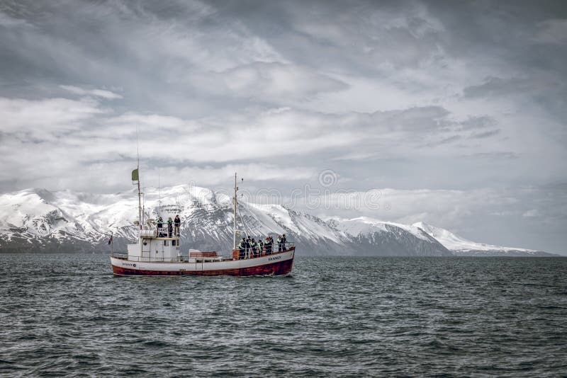 Whale watching boat in springtime Iceland. People are scouting for humpback whales stock images Whale watching boat in springtime Iceland. People are scouting for humpback whales stock images