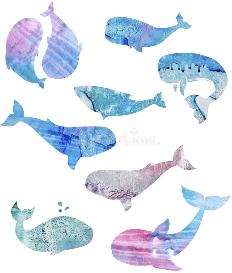 Whales watercolor texture animal watercolor splash abstract texture character drawing illustration geometric clip art for birthday