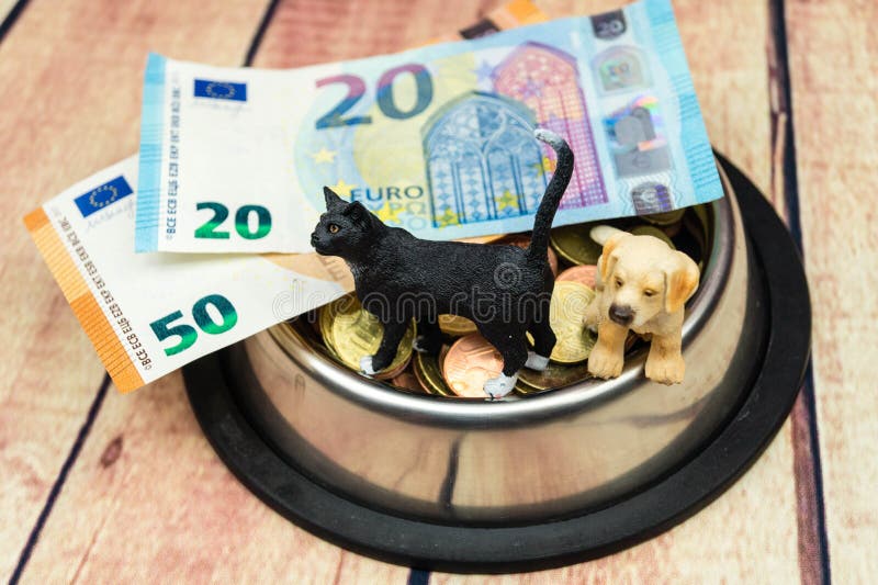 Money for the pets stock photo. Image of health, cash 142975960