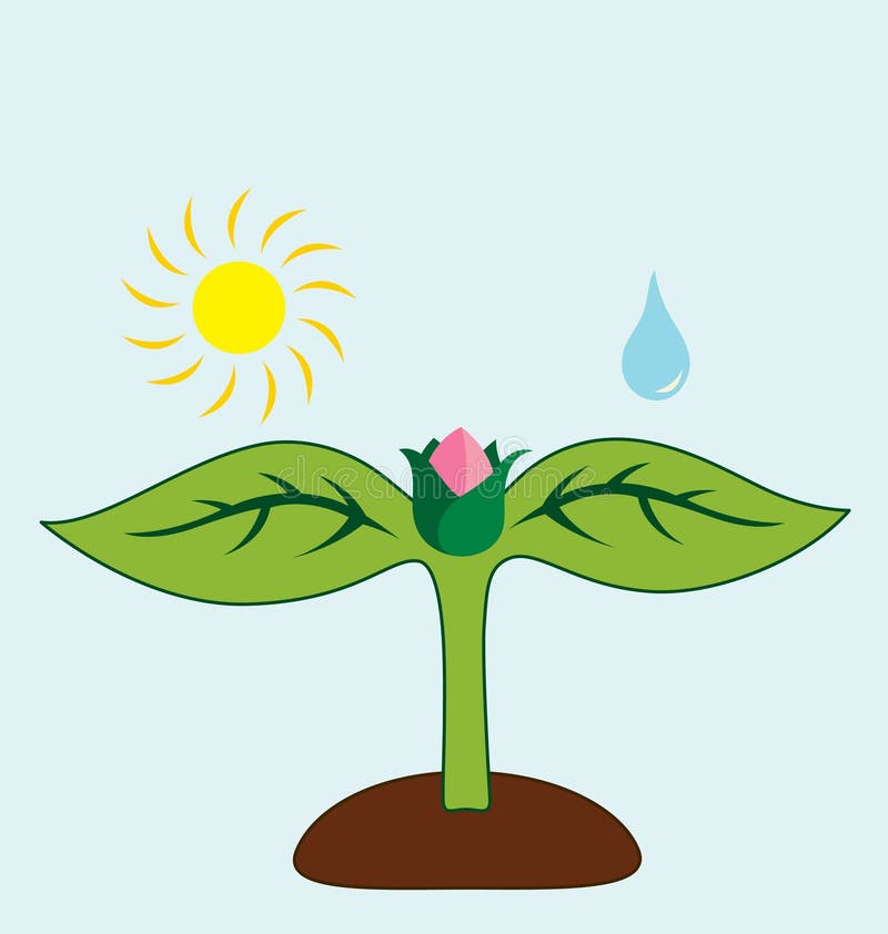 Plant Need Stock Illustrations 1 336 Plant Need Stock Illustrations Vectors Clipart Dreamstime Plant Need Stock Illustrations 1 336 Plant Need Stock Illustrations Vectors Clipart Dreamstime