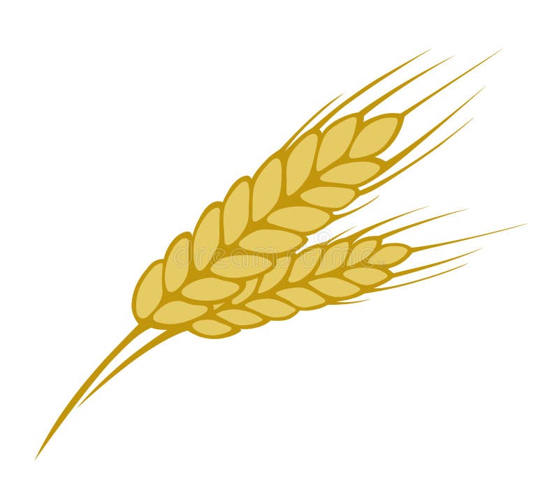 Wheat Clipart