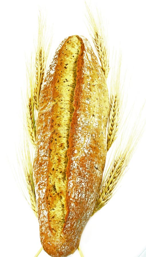 Wheat and bread