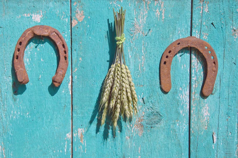 Wheat bunch and two horseshoe luck symbol on wooden barn wall