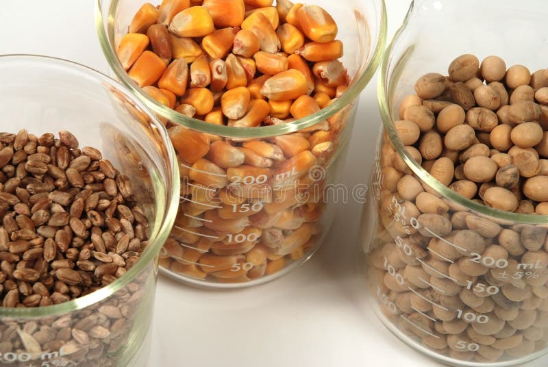 1,599 Corn Soy Rice Stock Photos Free & RoyaltyFree Stock Photos