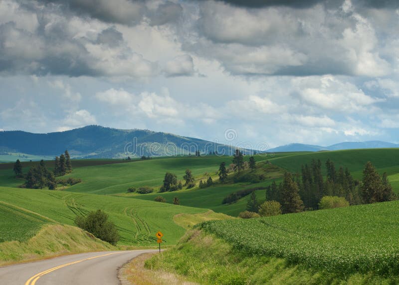 Wheat Country Storm, Palouse, Washington
