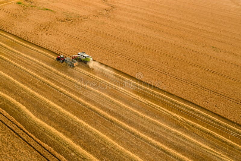 Sklizeň pšenice. Letecký pohled na kombajn při práci během sklizně. Zemědělství pozadí.