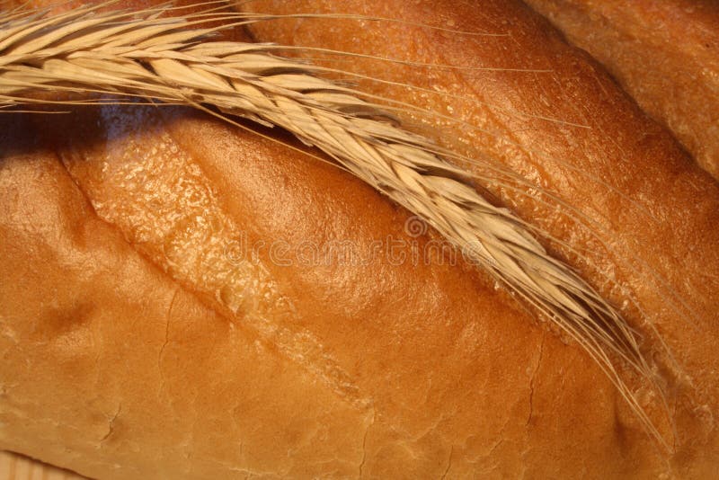 Wheat Ear On The Bread Picture. Image 4838267