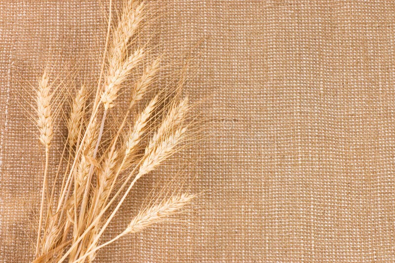 Wheat Ears Border on Burlap Background Stock Image - Image of peasant ...