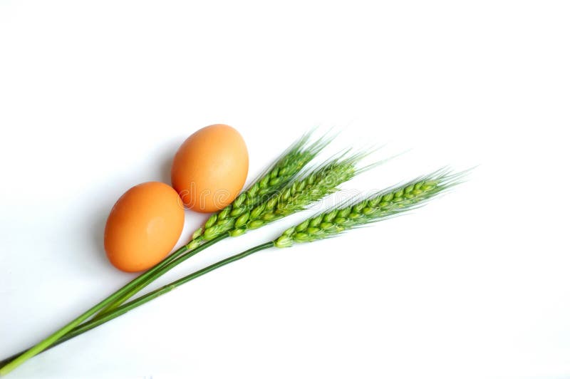 Wheat and eggs