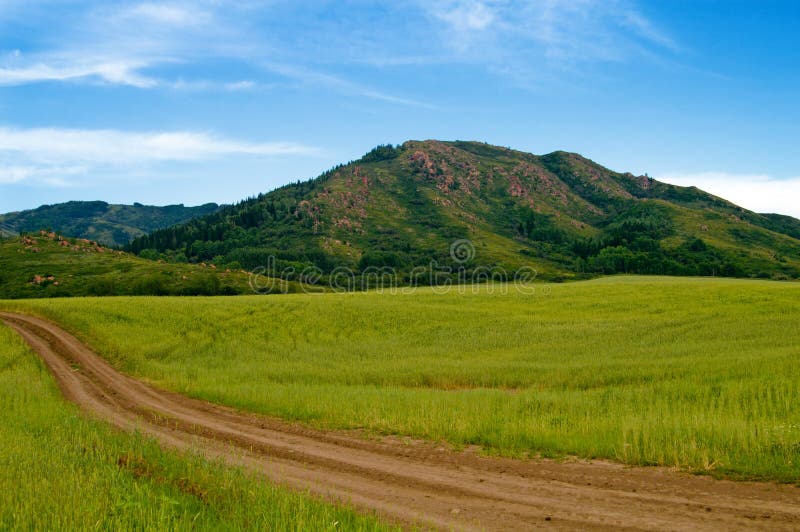 Wheat field