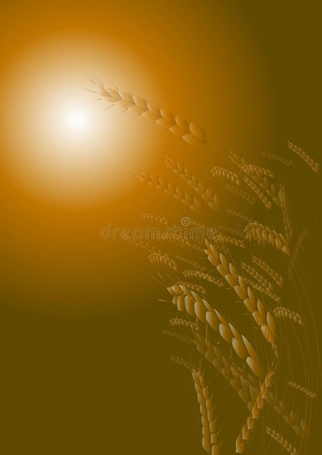 Wheat Field royalty free illustration