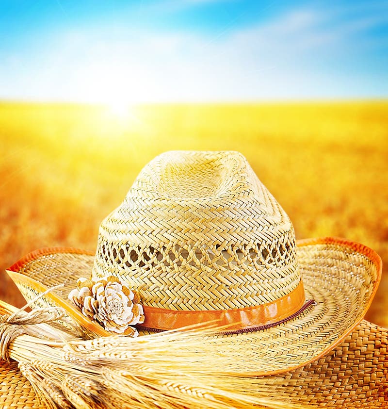 Wheat field and the hat of a farmer royalty free stock photos Wheat field and the hat of a farmer royalty free stock photos