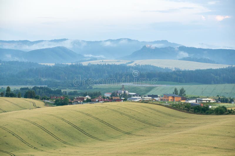 Wheat field during sunnrise or sunset with beautiful view to the mountains.