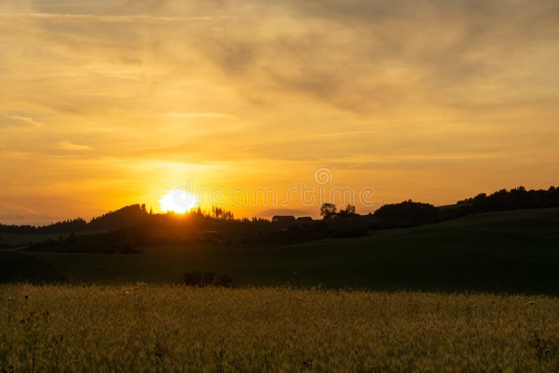 Pšeničné pole počas východu alebo západu slnka.