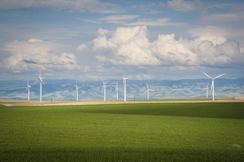 Wheat fields and wind turbines