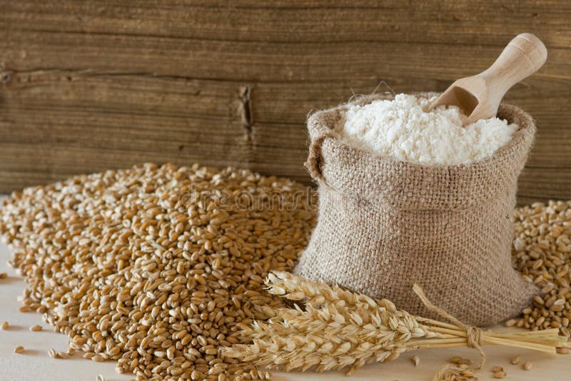 Wheat and flour stock image. Image of group, color, flour 19388039