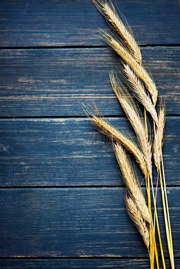 Image Of Closeup Background Image Of Closeup Background