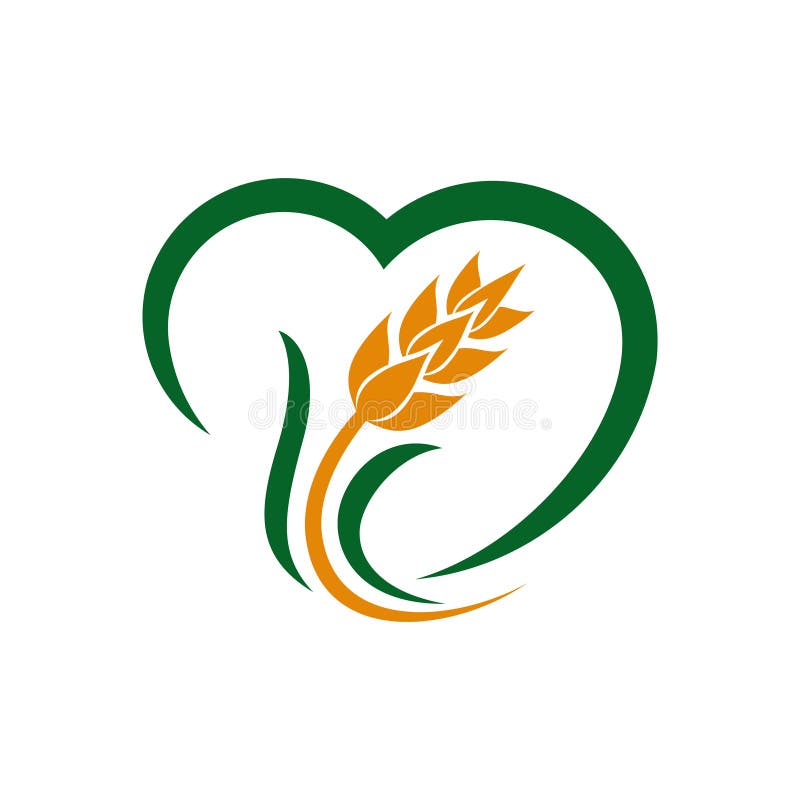 Wheat grain and Wheat rice logo Inspiration vector