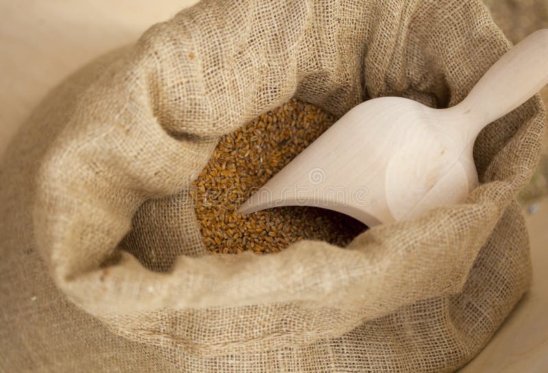 Wheat grain in sack stock photo. Image of rough, brown 26161556