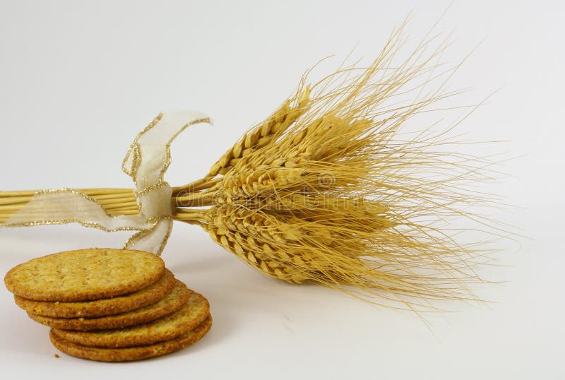 Wheat grains and bread