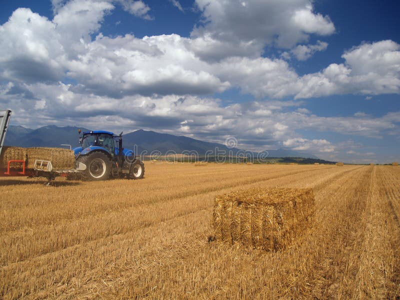 Wheat harvest on Liptov, Slovakia. Summer view of harvested wheat field with blue tractor collecting packed crops of hay in Liptov region, central Slovakia. In stock photo Wheat harvest on Liptov, Slovakia. Summer view of harvested wheat field with blue tractor collecting packed crops of hay in Liptov region, central Slovakia. In stock photo
