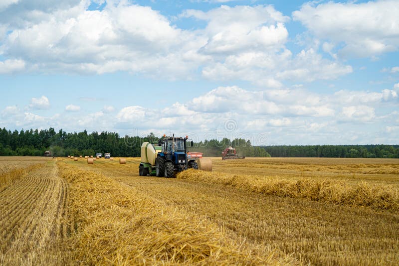 Wheat harvesting by farmers using tractors and combines royalty free stock photo