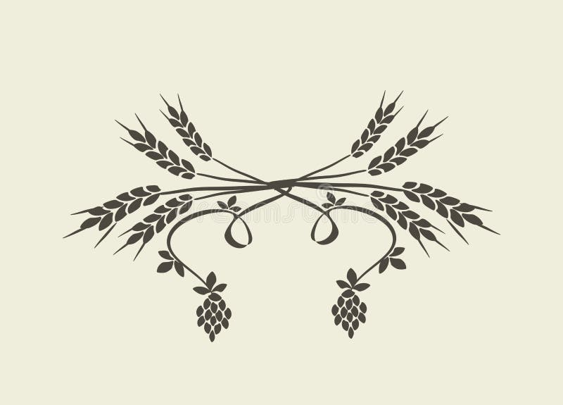 Hops Collection stock vector. Illustration of green, icon 20473602